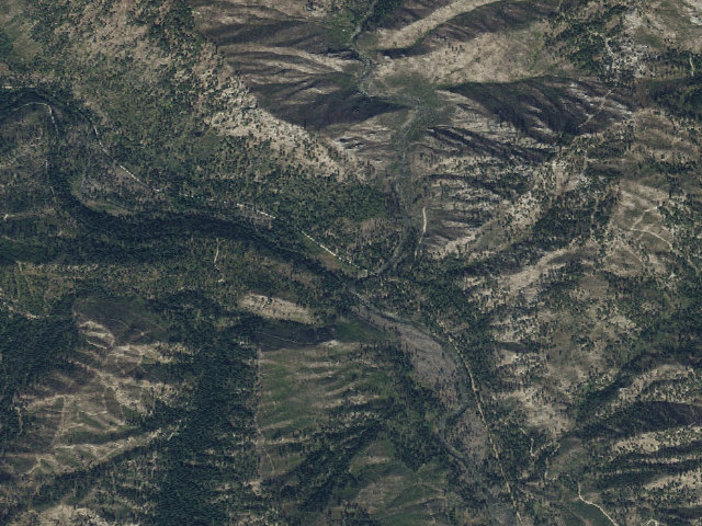 Aerial image of Secesh