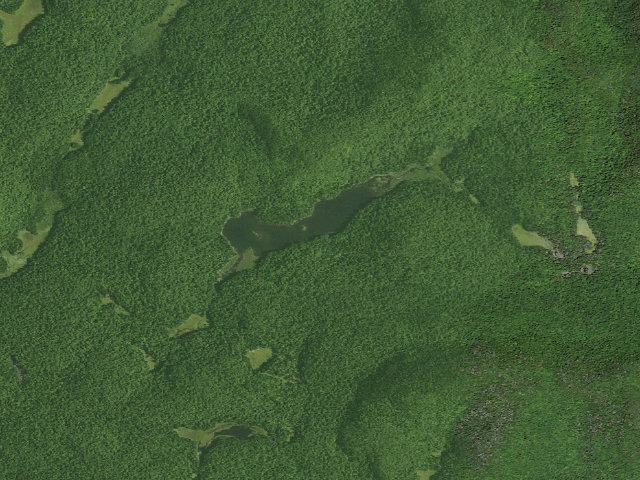 Aerial image of Second Pond Campsite (Siamese Ponds Wilderness)