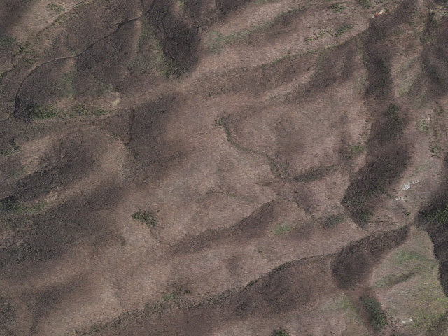 Aerial image of Seeley-Woodworth A.T. Shelter
