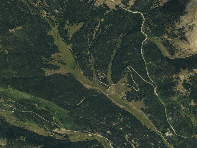 Aerial image of Selkirk