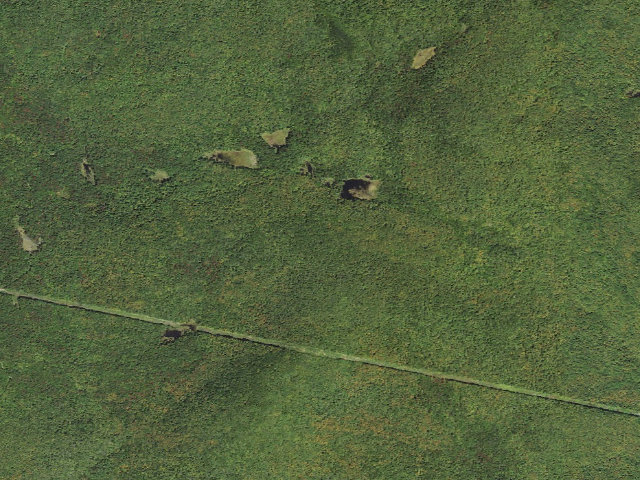 Aerial image of Seth Warner Shelter