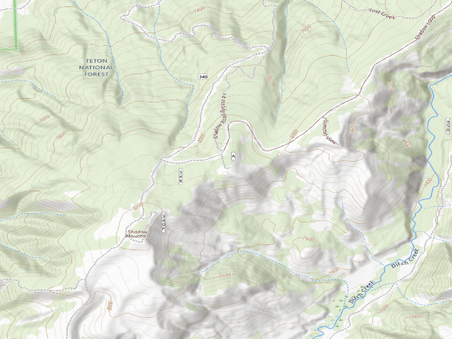 USGS topographic map of Shadow Upper 21A