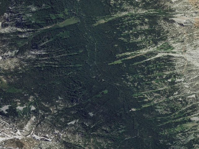 Aerial image of Shady Campground