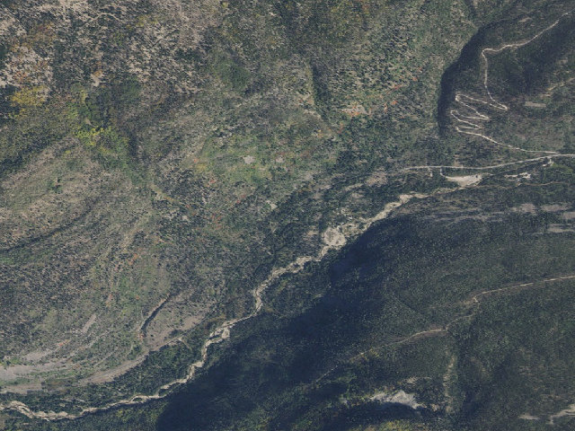 Aerial image of Shady Dell