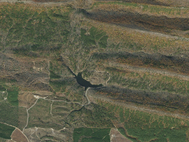 Aerial image of Shady Lake