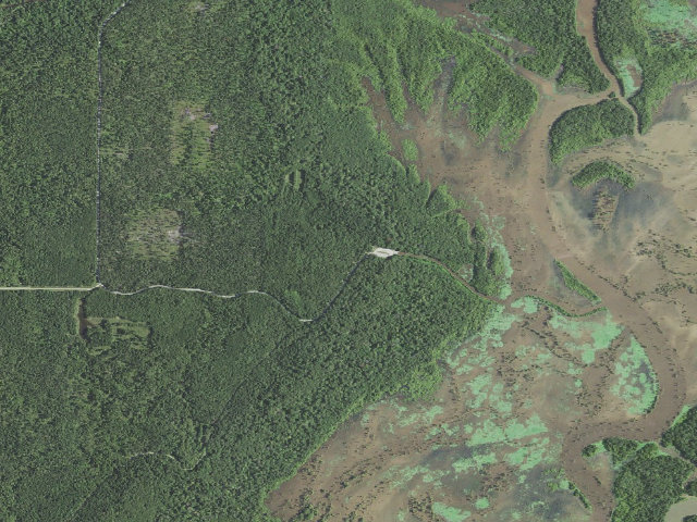 Aerial image of Shallow Lake Camping Area