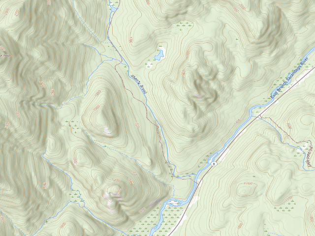 USGS topographic map of Shanty Brook Trail Campsite (Siamese Ponds Wilderness)