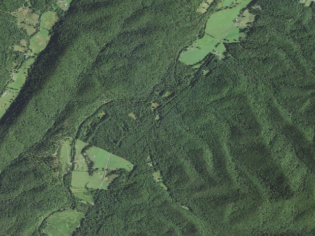 Aerial image of Shaws Fork Equestrian Campground