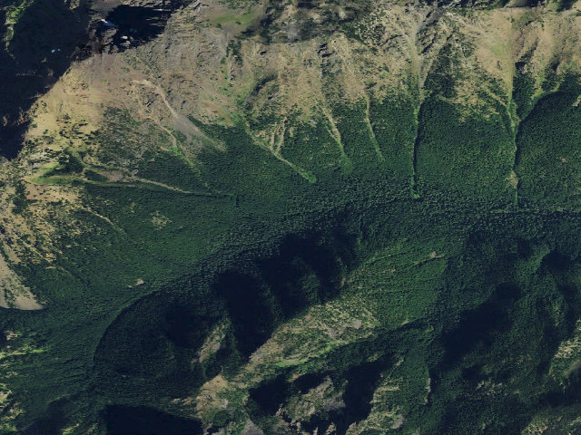 Aerial image of Shelter Rock Camp