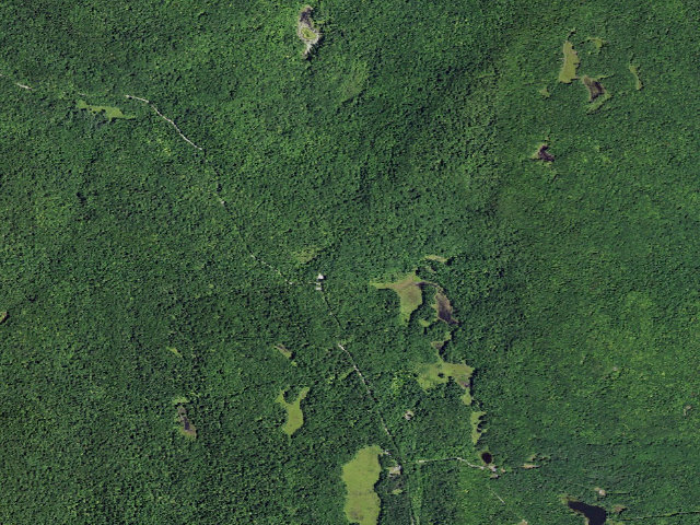 Aerial image of Shelving Rock Area Campsite 1 (Lake George Wild Forest)
