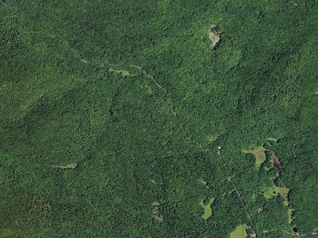 Aerial image of Shelving Rock Area Campsite 10 (Lake George Wild Forest)