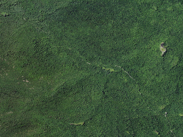 Aerial image of Shelving Rock Area Campsite 11 (Lake George Wild Forest)