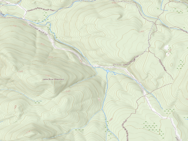 USGS topographic map of Shelving Rock Area Campsite 11 (Lake George Wild Forest)