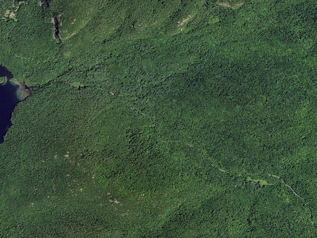 Aerial image of Shelving Rock Area Campsite 12 (Lake George Wild Forest)