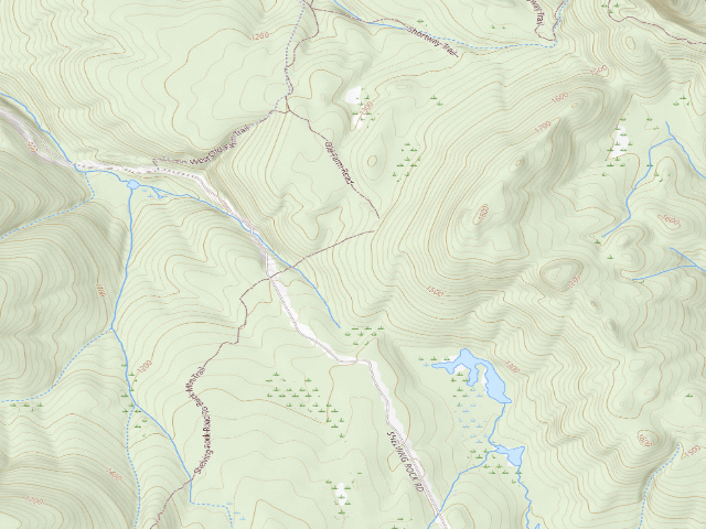 USGS topographic map of Shelving Rock Area Campsite 2 (Lake George Wild Forest)