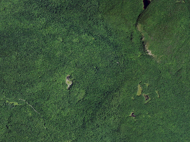 Aerial image of Shelving Rock Area Campsite 4 (Lake George Wild Forest)
