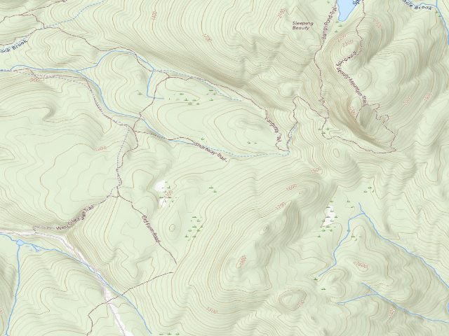 USGS topographic map of Shelving Rock Area Campsite 4 (Lake George Wild Forest)