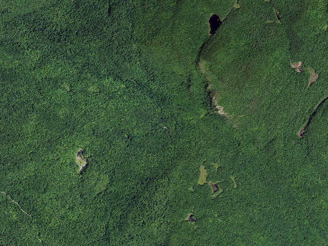 Aerial image of Shelving Rock Area Campsite 5 (Lake George Wild Forest)