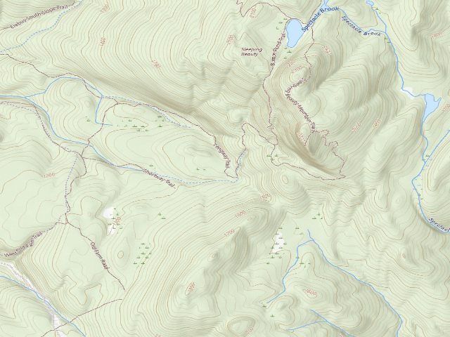 USGS topographic map of Shelving Rock Area Campsite 5 (Lake George Wild Forest)