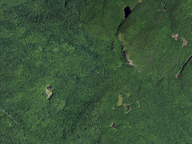 Aerial image of Shelving Rock Area Campsite 6 (Lake George Wild Forest)
