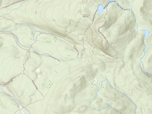 USGS topographic map of Shelving Rock Area Campsite 6 (Lake George Wild Forest)