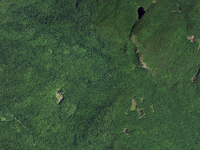 Aerial image of Shelving Rock Area Campsite 7 (Lake George Wild Forest)