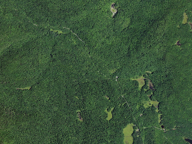 Aerial image of Shelving Rock Area Campsite 8 (Lake George Wild Forest)