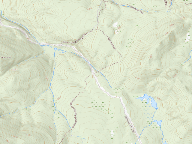 USGS topographic map of Shelving Rock Area Campsite 9 (Lake George Wild Forest)