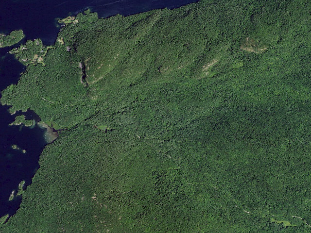 Aerial image of Shelving Rock Brook Trail Tent Site #13 (Lake George Wild Forest)
