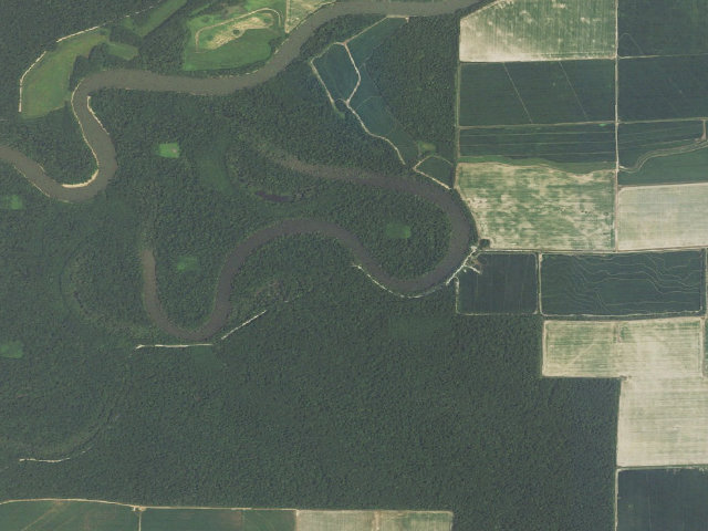 Aerial image of Shirey Bay Camping Area