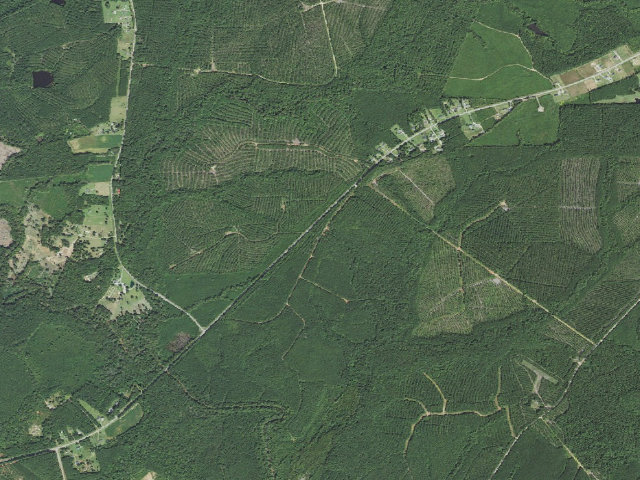 Aerial image of Shocco Creek Game Land camping area #1