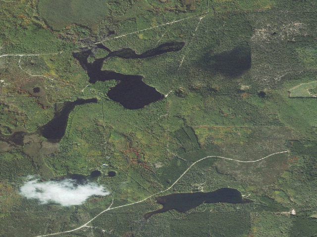 Aerial image of Shoepac Lake State Forest Campground