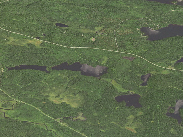 Aerial image of Shoko Lake Site 1