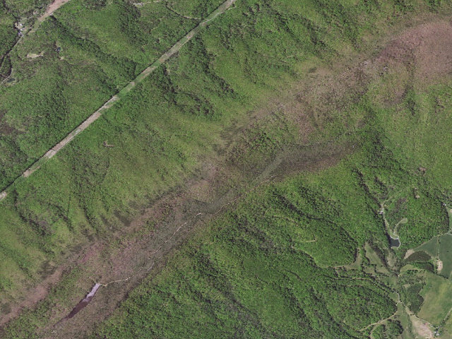 Aerial image of Short Hills WMA
