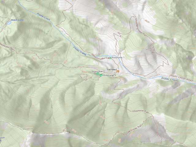USGS topographic map of Shoshone 2 Campsite (Snake Creek Road)