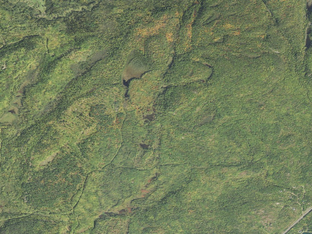 Aerial image of Sht- Beaver Pond