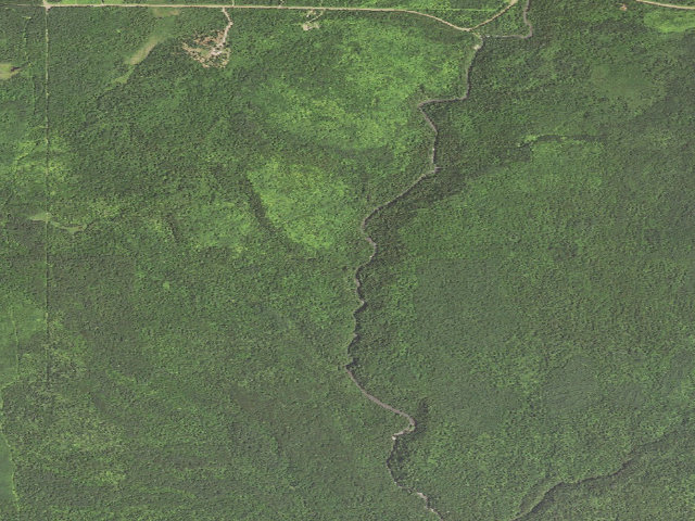 Aerial image of Sht- Cut Log