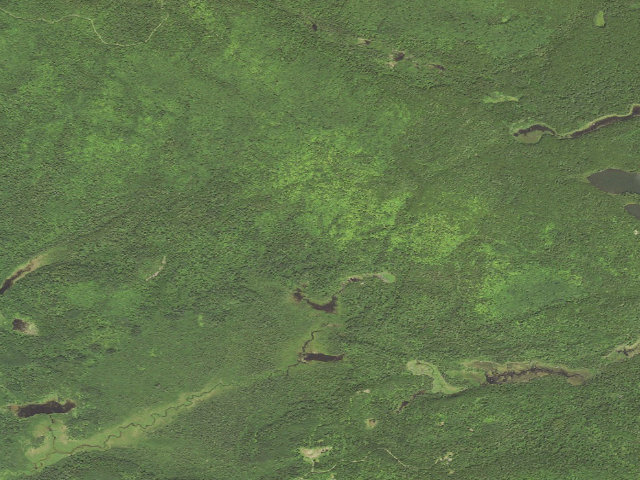 Aerial image of Sht- Hazel