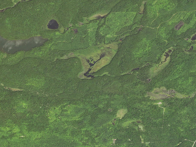 Aerial image of Sht- South Carlson Pond