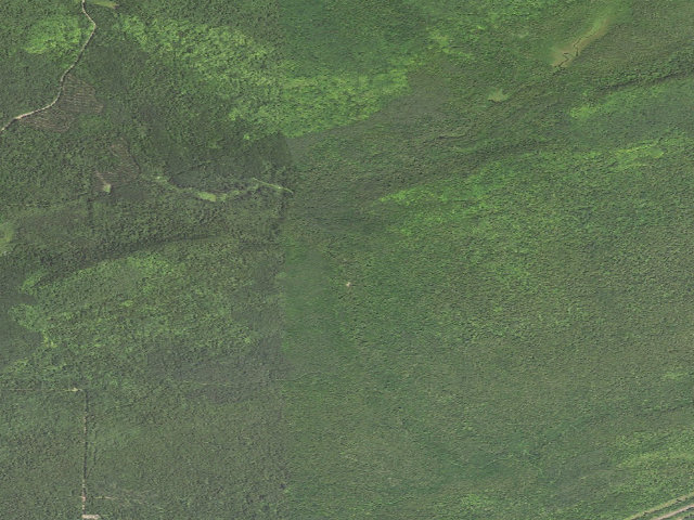 Aerial image of Sht-Spruce Creek