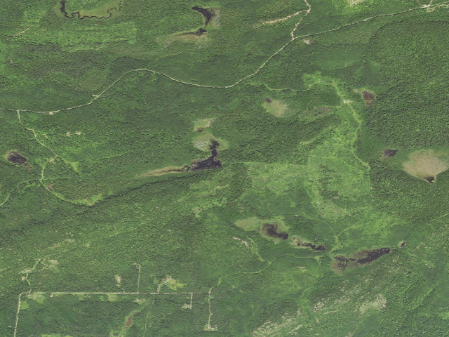Aerial image of Sht- Woodland Caribou Pond