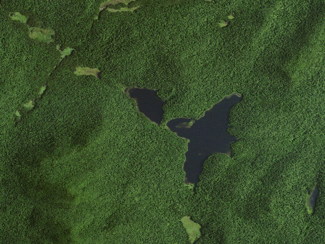 Aerial image of Siamese Ponds Site 1 (Siamese Ponds Wilderness)