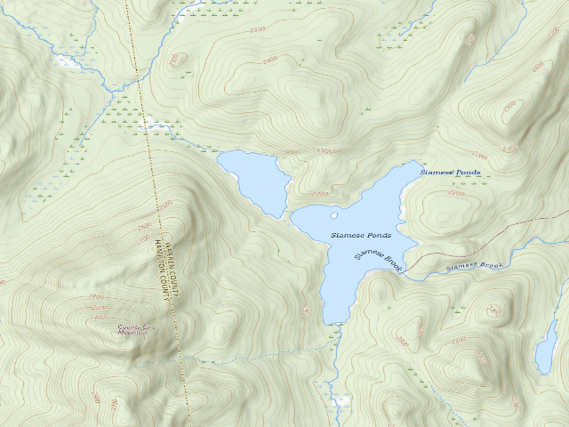 USGS topographic map of Siamese Ponds Site 1 (Siamese Ponds Wilderness)