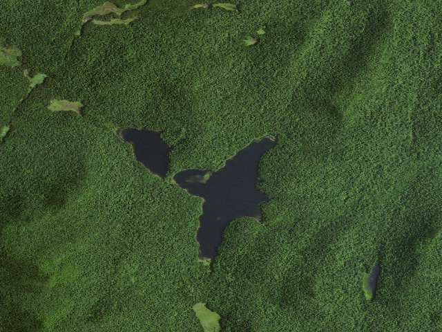 Aerial image of Siamese Ponds Site 2 (Siamese Ponds Wilderness)