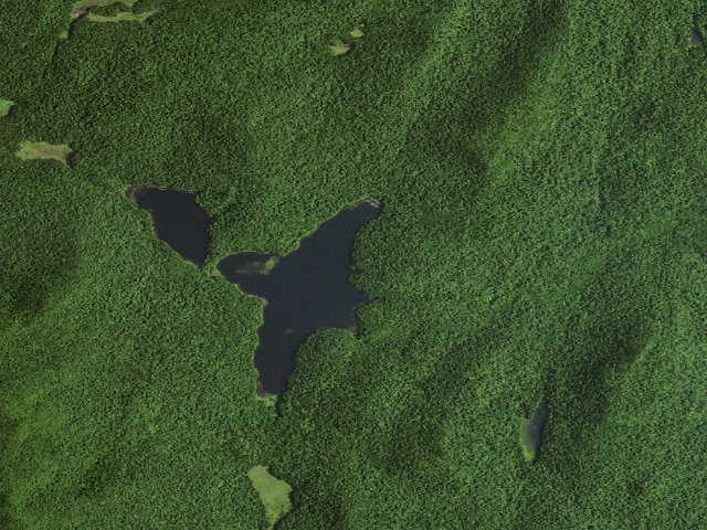 Aerial image of Siamese Ponds Site 3 (Siamese Ponds Wilderness)