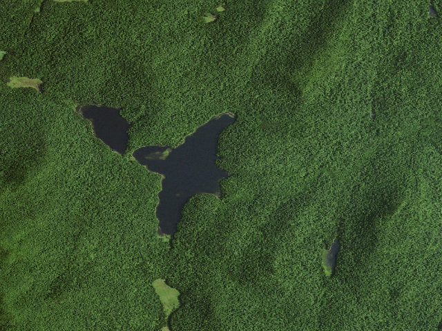 Aerial image of Siamese Ponds Site 4 (Siamese Ponds Wilderness)