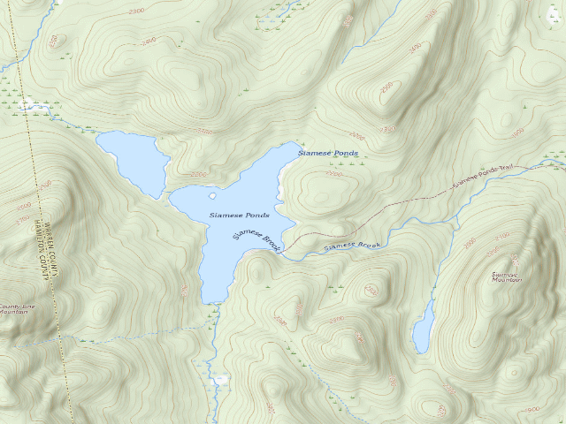 USGS topographic map of Siamese Ponds Site 4 (Siamese Ponds Wilderness)