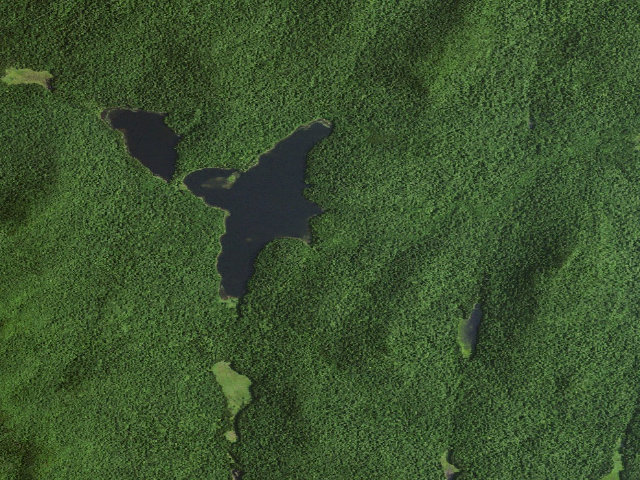 Aerial image of Siamese Ponds Site 5 (Siamese Ponds Wilderness)