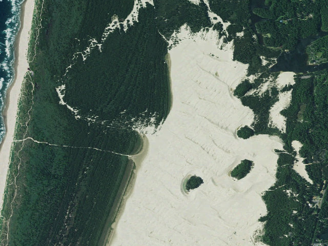 Aerial image of Siltcoos Sand Camping site 15