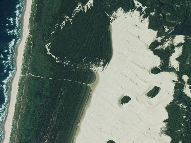 Aerial image of Siltcoos Sand Camping site 16